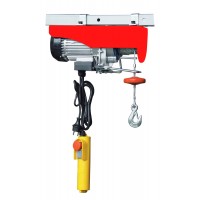 Palan électrique 300/600 kgs